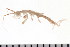  ( - HUNTSAMP0176)  @14 [ ] CreativeCommons - Attribution (2010) Unspecified Centre for Biodiversity Genomics
