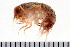  ( - HUNTSAMP0201)  @14 [ ] CreativeCommons - Attribution (2010) Unspecified Centre for Biodiversity Genomics