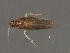  ( - 08NBEPT-0452)  @12 [ ] CreativeCommons - Attribution (2008) Unspecified Centre for Biodiversity Genomics