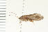  ( - 08NBEPT-0056)  @13 [ ] CreativeCommons - Attribution (2008) Unspecified Centre for Biodiversity Genomics
