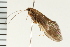  ( - 08NBEPT-0063)  @13 [ ] CreativeCommons - Attribution (2008) Unspecified Centre for Biodiversity Genomics