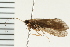  ( - 08NBEPT-0079)  @13 [ ] CreativeCommons - Attribution (2008) Unspecified Centre for Biodiversity Genomics