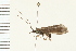  ( - 08NBEPT-0092)  @13 [ ] CreativeCommons - Attribution (2008) Unspecified Centre for Biodiversity Genomics