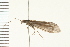  ( - 08NBEPT-0095)  @13 [ ] CreativeCommons - Attribution (2008) Unspecified Centre for Biodiversity Genomics