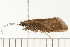  ( - 08NBEPT-0325)  @14 [ ] CreativeCommons - Attribution (2008) Unspecified Centre for Biodiversity Genomics