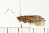  ( - 08NBEPT-0326)  @13 [ ] CreativeCommons - Attribution (2008) Unspecified Centre for Biodiversity Genomics
