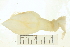  ( - 12NJNB0210)  @11 [ ] CreativeCommons - Attribution (2013) CBG Photography Group Centre for Biodiversity Genomics