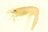  ( - 12NJNB0228)  @12 [ ] CreativeCommons - Attribution (2013) CBG Photography Group Centre for Biodiversity Genomics