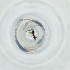  ( - MOZZ00000626A_E9)  @11 [ ] by  Genome Research Ltd as Wellcome Sanger Institute Genome Research Limited operating as Wellcome Sanger Institute