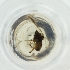  ( - MOZZ00000627A_D5)  @11 [ ] by  Genome Research Ltd as Wellcome Sanger Institute Genome Research Limited operating as Wellcome Sanger Institute