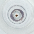  ( - NBGW_008_G11)  @11 [ ] by  Genome Research Ltd as Wellcome Sanger Institute Genome Research Limited operating as Wellcome Sanger Institute