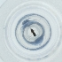 ( - NBGW_016_G4)  @11 [ ] by (2004) Genome Research Ltd as Wellcome Sanger Institute Genome Research Limited operating as Wellcome Sanger Institute