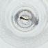 ( - NBGW_021_E11)  @11 [ ] by (2004) Genome Research Ltd as Wellcome Sanger Institute Genome Research Limited operating as Wellcome Sanger Institute