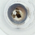  ( - NBGW_021_H8)  @11 [ ] by (2004) Genome Research Ltd as Wellcome Sanger Institute Genome Research Limited operating as Wellcome Sanger Institute