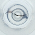  ( - NBGW_022_C11)  @11 [ ] by (2004) Genome Research Ltd as Wellcome Sanger Institute Genome Research Limited operating as Wellcome Sanger Institute
