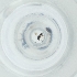  ( - NBGW_027_A3)  @11 [ ] by (2004) Genome Research Ltd as Wellcome Sanger Institute Genome Research Limited operating as Wellcome Sanger Institute
