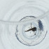  ( - NBGW_036_G2)  @11 [ ] by (2023) Wellcome Sanger Institute (Genome Research Limited) Wellcome Sanger Institute (Genome Research Limited)