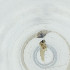  (Claspettomyia sp. MJ6 - NBGW_042_C5)  @11 [ ] by (2023) Wellcome Sanger Institute (Genome Research Limited) Wellcome Sanger Institute (Genome Research Limited)