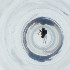  ( - NBGW_049_A12)  @11 [ ] by (2023) Wellcome Sanger Institute (Genome Research Limited) Wellcome Sanger Institute (Genome Research Limited)