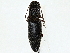  ( - BIOUG97778-E10)  @11 [ ] CreativeCommons - Attribution (2023) CBG Photography Group Centre for Biodiversity Genomics