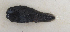  ( - ZMUB Fish_23210)  @11 [ ] CreativeCommons - Attribution Non-Commercial Share-Alike (2016) University of Bergen Natural History Collections