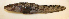  ( - ZMUB Fish_20864)  @11 [ ] CreativeCommons - Attribution Non-Commercial Share-Alike (2016) University of Bergen Natural History Collections