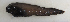  ( - ZMUB Fish_23169)  @11 [ ] CreativeCommons - Attribution Non-Commercial Share-Alike (2016) University of Bergen Natural History Collections