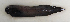  ( - ZMUB Fish_23171)  @11 [ ] CreativeCommons - Attribution Non-Commercial Share-Alike (2016) University of Bergen Natural History Collections