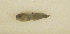  ( - ZMUB Fish_23670)  @11 [ ] CreativeCommons - Attribution Non-Commercial Share-Alike (2017) University of Bergen Natural History Collections