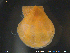 ( - NTNU-VM-67397)  @11 [ ] CreativeCommons - Attribution Non-Commercial Share-Alike (2018) NTNU University Museum, Department of Natural History NTNU University Museum, Department of Natural History