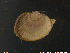  ( - NTNU-VM-71255)  @11 [ ] CreativeCommons - Attribution Non-Commercial Share-Alike (2018) NTNU University Museum, Department of Natural History NTNU University Museum, Department of Natural History
