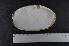  ( - NTNU-VM-73874)  @11 [ ] Creative Commons  Attribution Non-Commercial Share-Alike (2019) NTNU University Museum, Department of Natural History NTNU University Museum, Department of Natural History