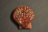  ( - NaSk9)  @11 [ ] Creative Commons  Attribution Non-Commercial Share-Alike (2019) NTNU University Museum, Department of Natural History NTNU University Museum, Department of Natural History