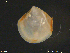  ( - Thy01)  @11 [ ] CreativeCommons - Attribution Non-Commercial Share-Alike (2018) NTNU University Museum, Department of Natural History NTNU University Museum, Department of Natural History