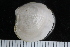  ( - ZMBN_123794)  @11 [ ] CreativeCommons - Attribution Non-Commercial Share-Alike (2018) University of Bergen Natural History Collections