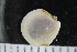  ( - ZMBN_123819)  @11 [ ] CreativeCommons - Attribution Non-Commercial Share-Alike (2018) University of Bergen Natural History Collections
