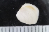  ( - ZMBN_123832)  @11 [ ] CreativeCommons - Attribution Non-Commercial Share-Alike (2018) University of Bergen Natural History Collections