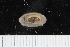  ( - ZMBN_125236)  @11 [ ] CreativeCommons - Attribution Non-Commercial Share-Alike (2018) University of Bergen Natural History Collections
