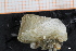  ( - ZMBN_129963)  @11 [ ] CreativeCommons - Attribution Non-Commercial Share-Alike (2019) University of Bergen University of Bergen, Natural History Collections