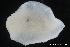  ( - ZMBN_139636)  @11 [ ] Creative Commons BY NC SA (2021) University of Bergen Natural History Collections