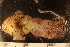  ( - ZMBN_157804)  @11 [ ] Creative Commons BY SA (2023) University of Bergen Natural History Collections