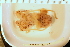  ( - ZMBN_157814)  @11 [ ] Creative Commons BY SA (2023) University of Bergen Natural History Collections