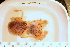  ( - ZMBN_157814)  @11 [ ] Creative Commons BY SA (2023) University of Bergen Natural History Collections