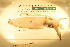  ( - ZMBN_157831)  @11 [ ] Creative Commons BY SA (2023) University of Bergen Natural History Collections