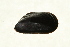  ( - 10NBMOL-10016)  @13 [ ] CreativeCommons - Attribution  Unspecified Centre for Biodiversity Genomics