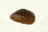  ( - 10NBMOL-10017)  @13 [ ] CreativeCommons - Attribution  Unspecified Centre for Biodiversity Genomics