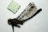  ( - NBM-10070)  @12 [ ] Unspecified (default): All Rights Reserved  Unspecified Unspecified