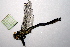  ( - NBM-10239)  @12 [ ] Unspecified (default): All Rights Reserved  Unspecified Unspecified
