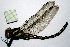  ( - NBM-013276b)  @12 [ ] Unspecified (default): All Rights Reserved  Unspecified Unspecified
