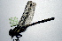  ( - NBM-13515)  @12 [ ] Unspecified (default): All Rights Reserved  Unspecified Unspecified